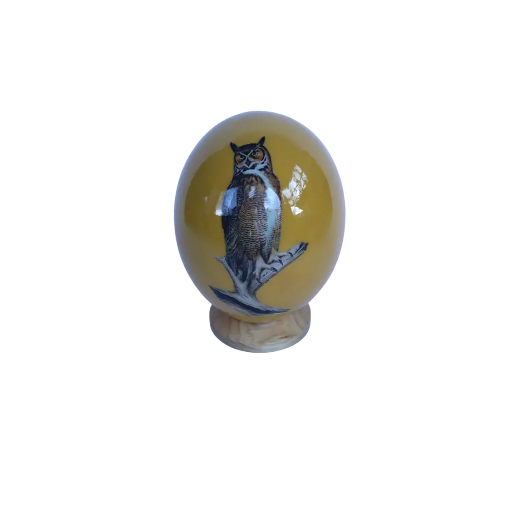 Ostrich Eggshell