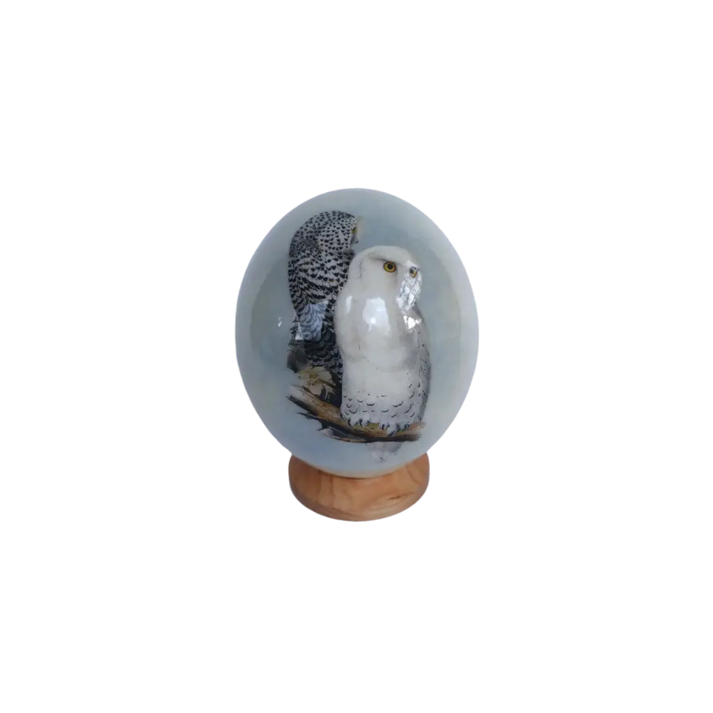 Ostrich Eggshell