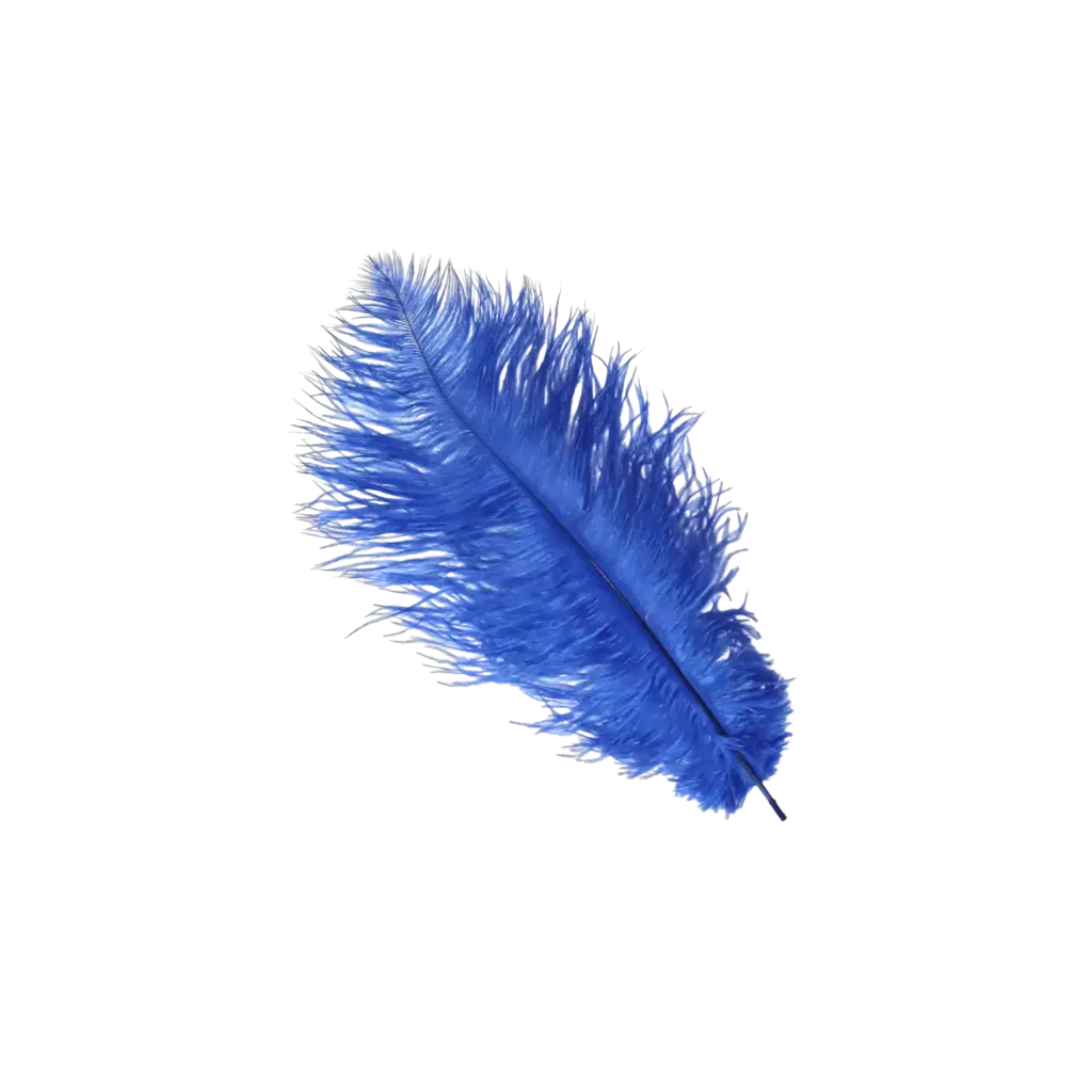 Ostrich Feather