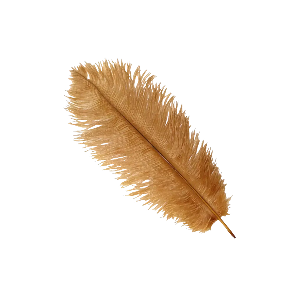 Ostrich Feather