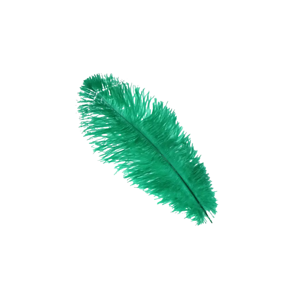 Ostrich Feather
