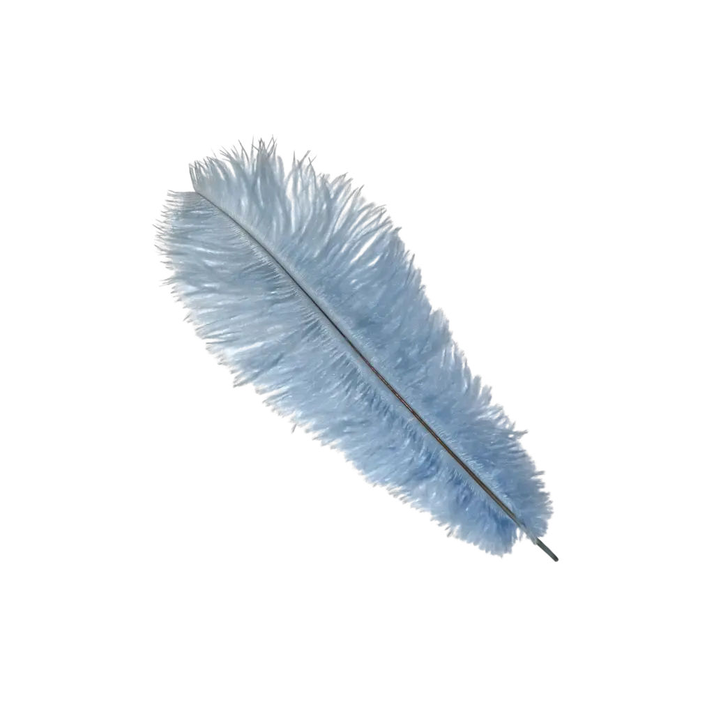 Ostrich Feather