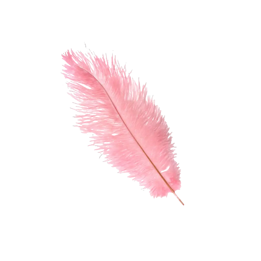 Ostrich Feather