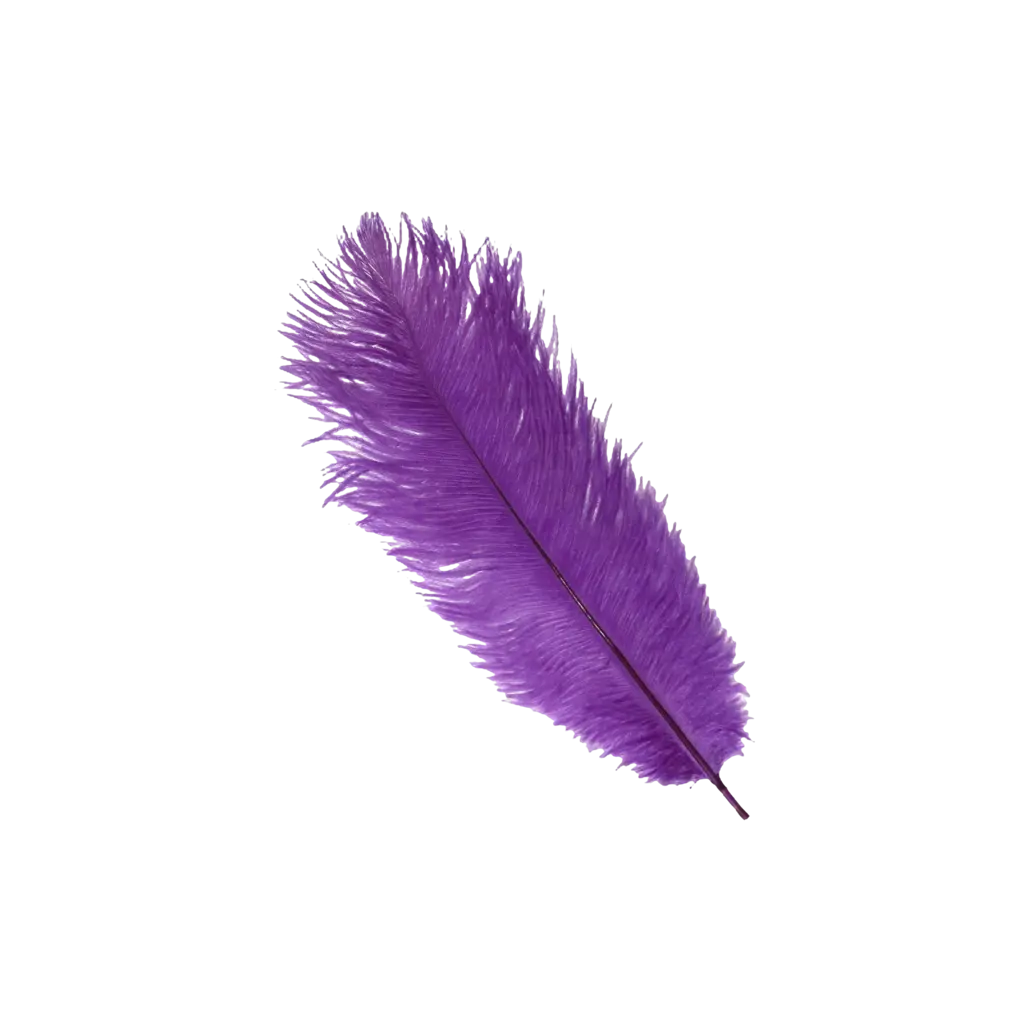 Ostrich Feather