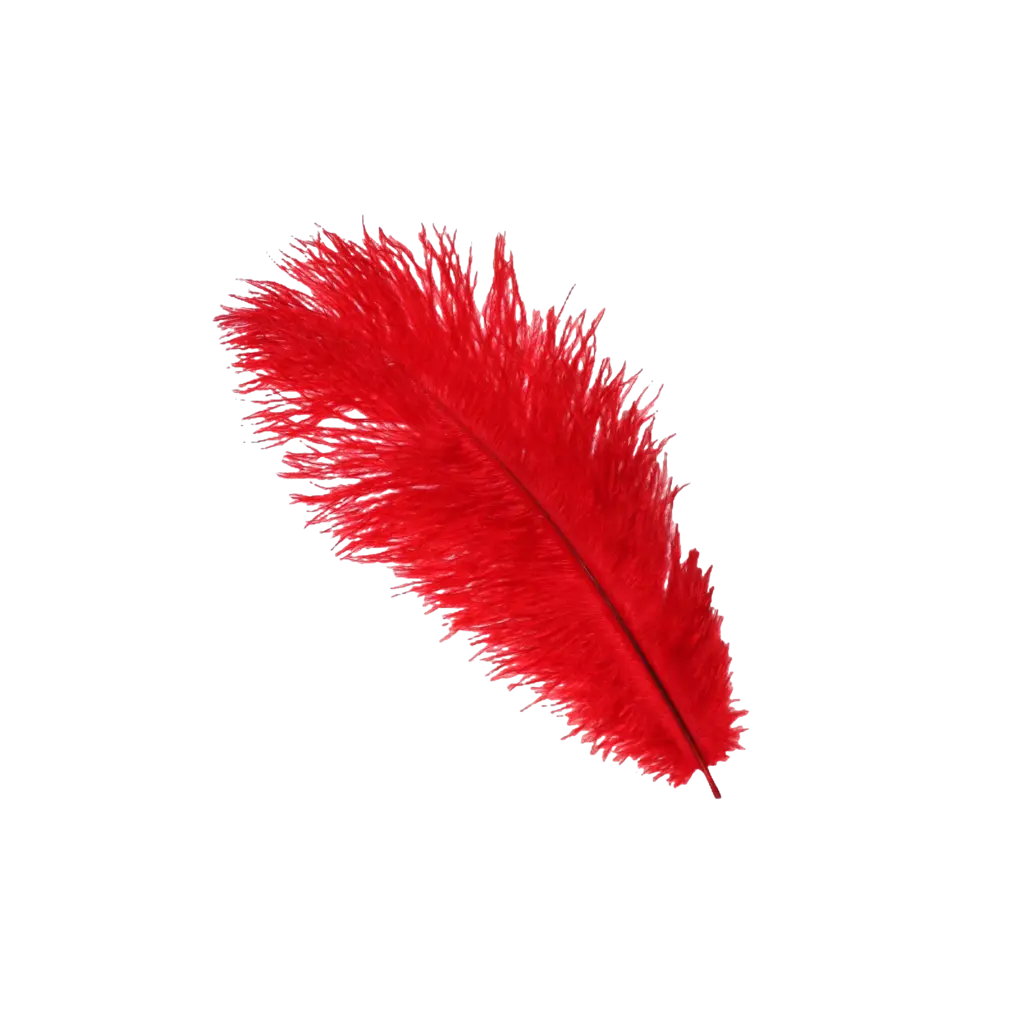 Ostrich Feather