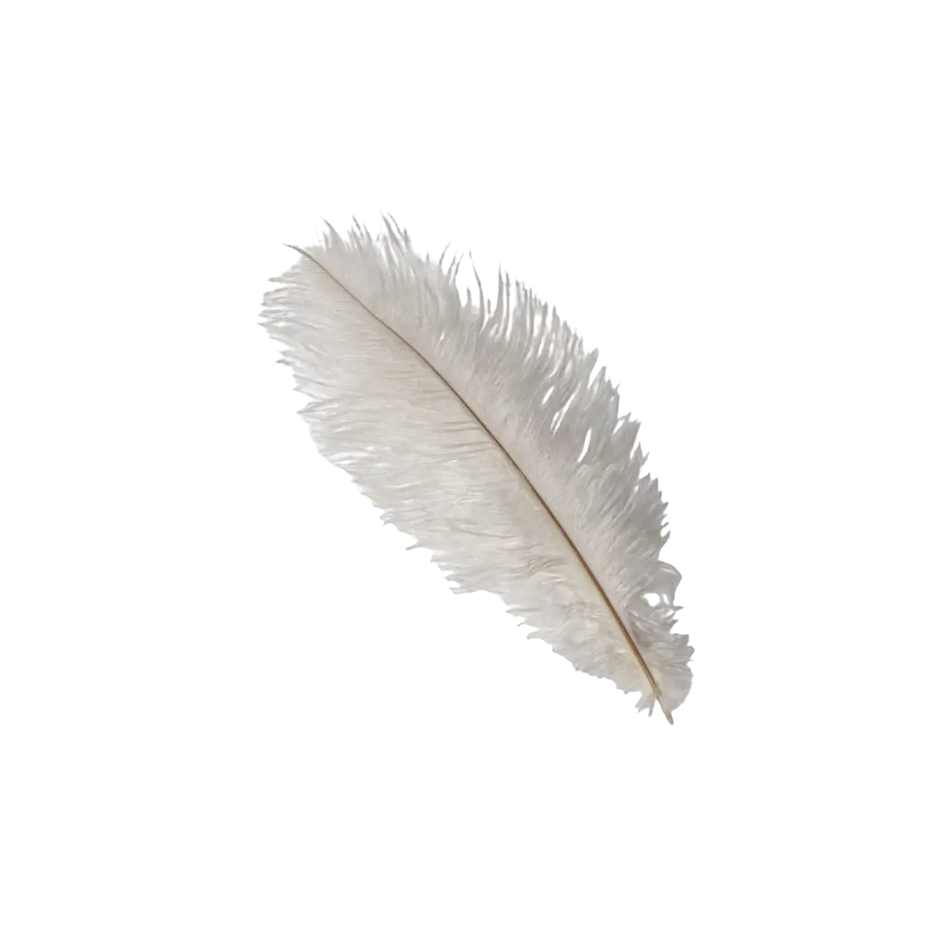 Ostrich Feather