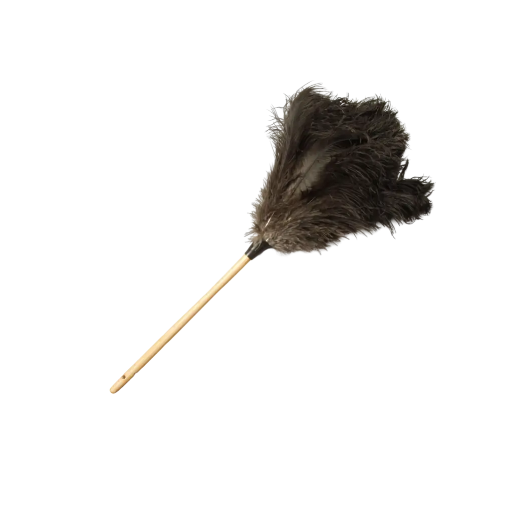 Premium Ostrich Feather Duster